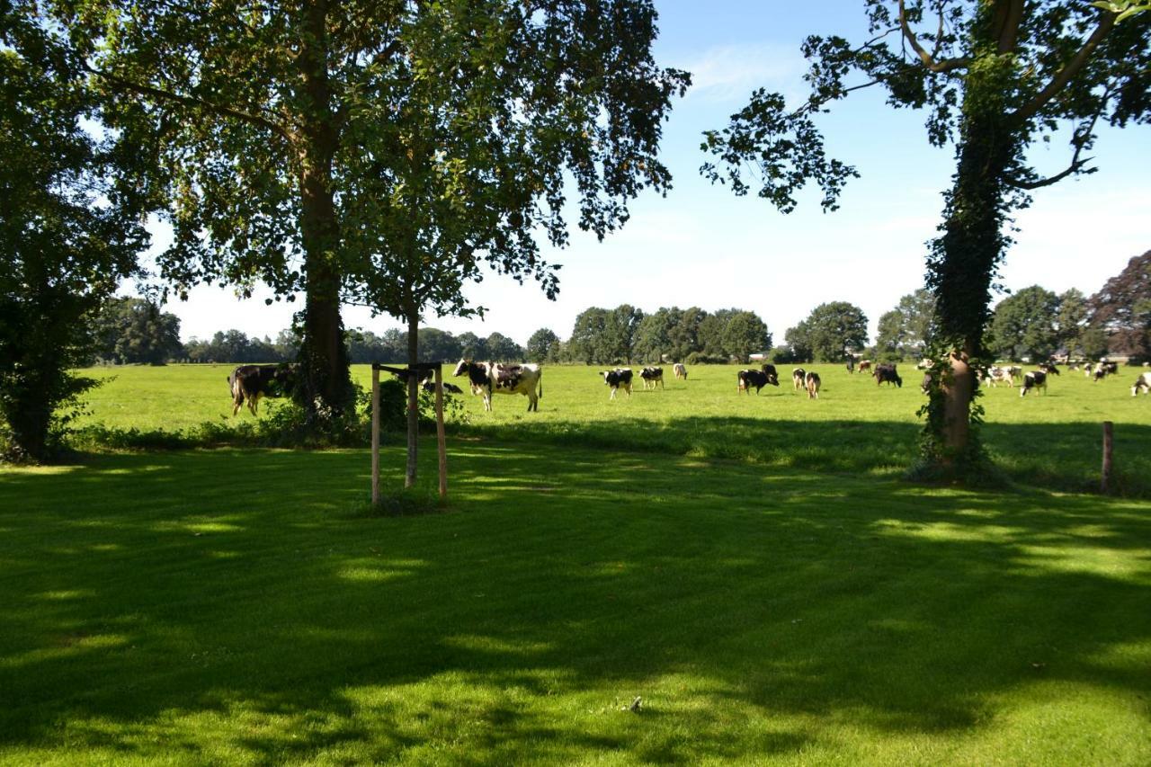 Op de Kuyerlatten Zwolle  Eksteriør bilde